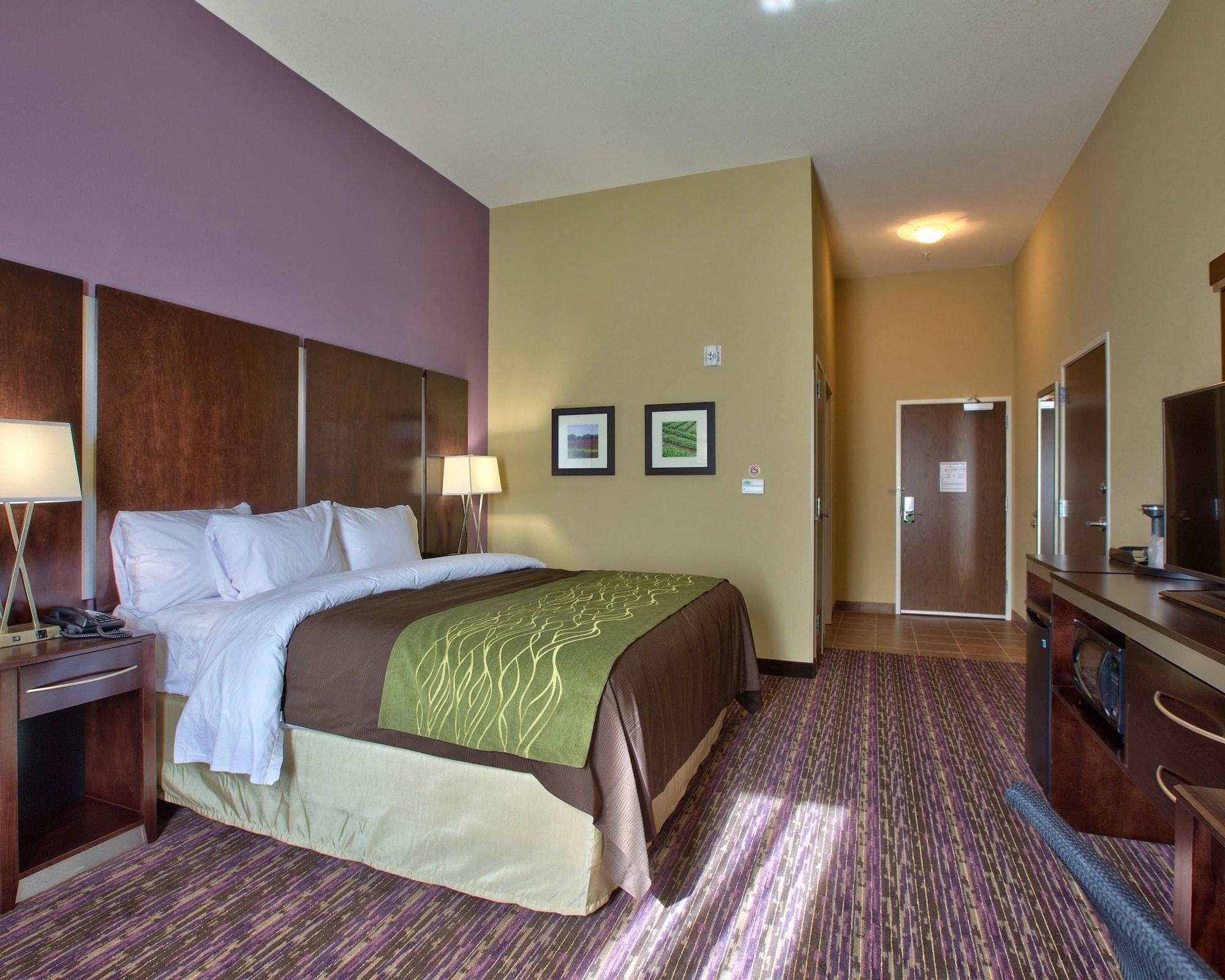 Comfort Inn & Suites Dothan East מראה חיצוני תמונה