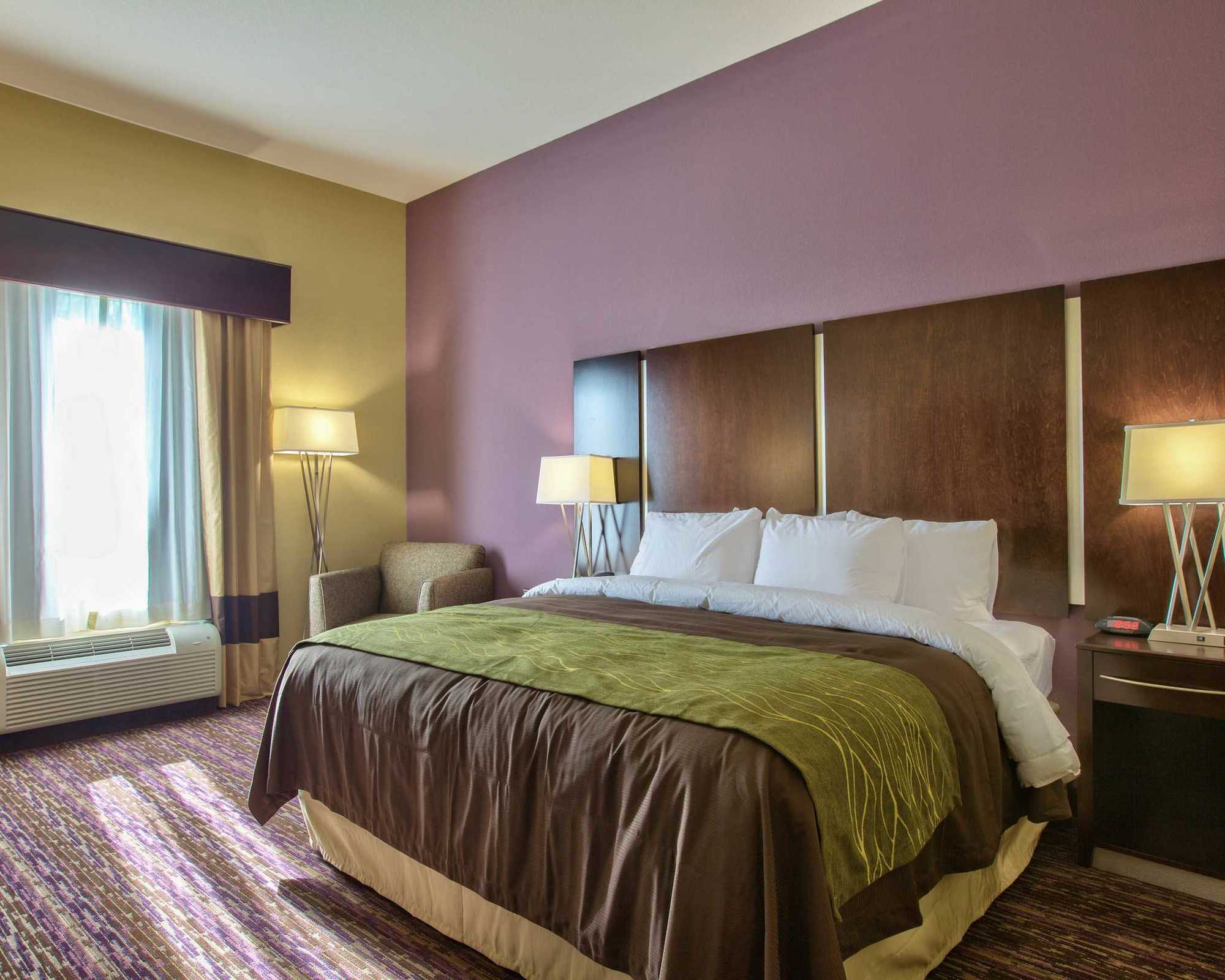 Comfort Inn & Suites Dothan East חדר תמונה